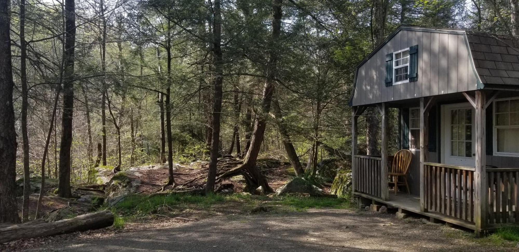 Abrams Creek Campground Mount Storm Eksteriør bilde