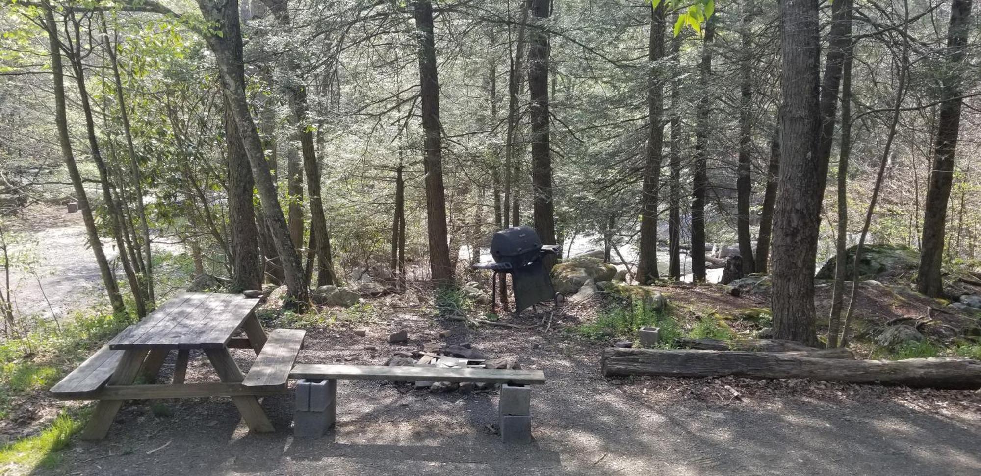 Abrams Creek Campground Mount Storm Eksteriør bilde