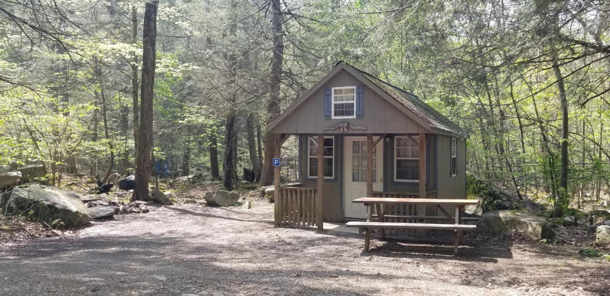 Abrams Creek Campground Mount Storm Eksteriør bilde