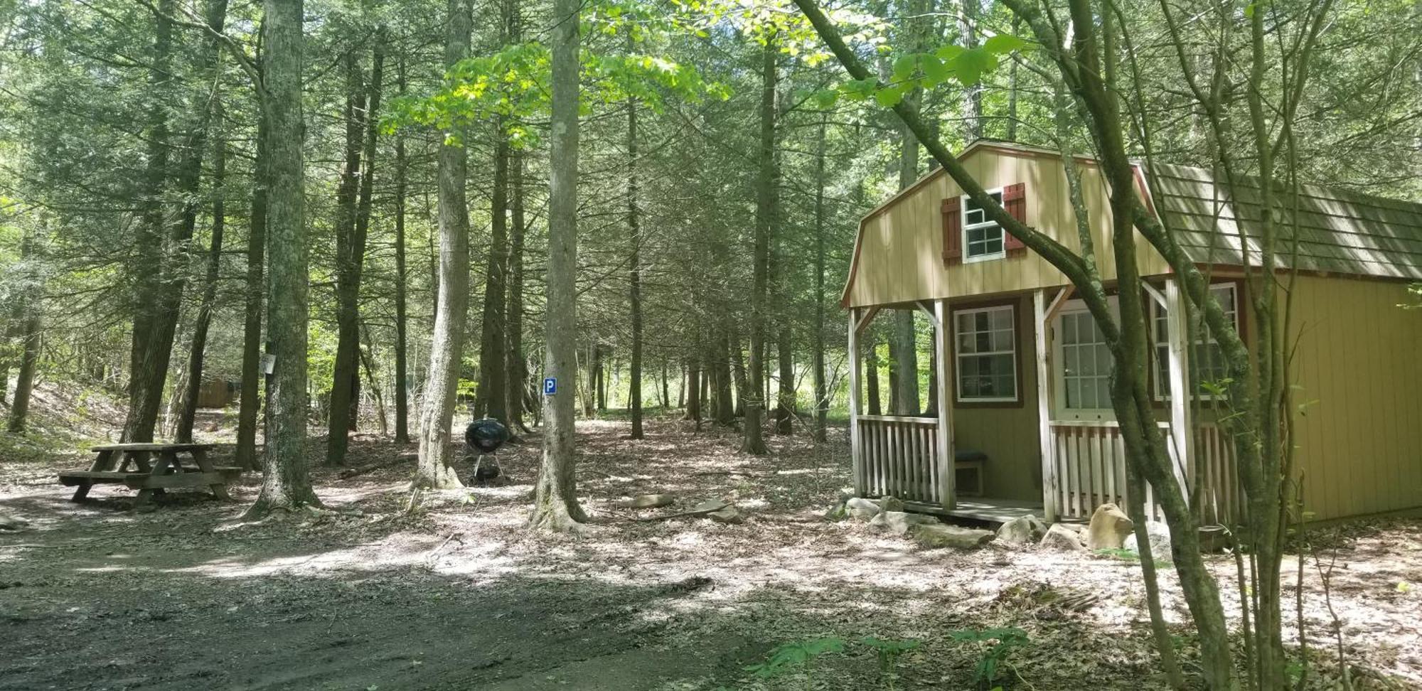Abrams Creek Campground Mount Storm Eksteriør bilde