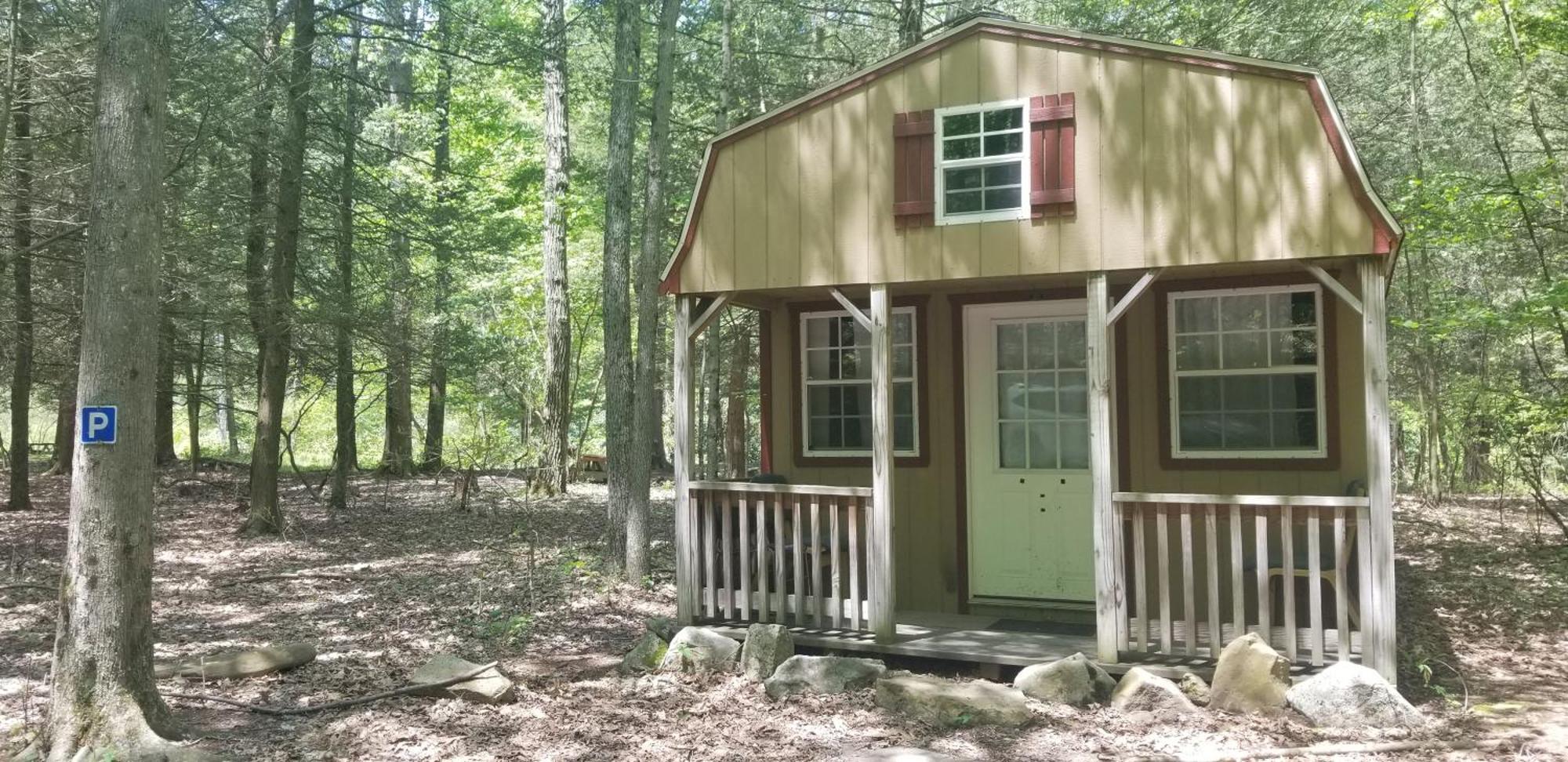 Abrams Creek Campground Mount Storm Eksteriør bilde