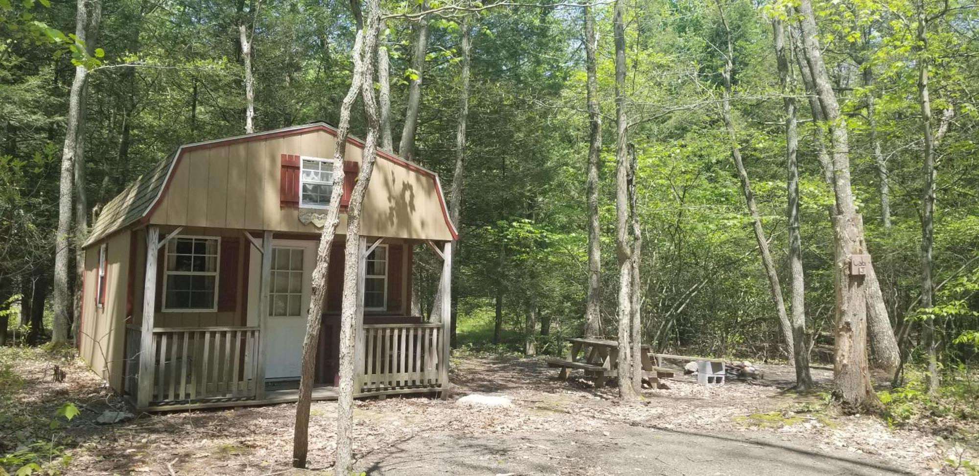 Abrams Creek Campground Mount Storm Eksteriør bilde