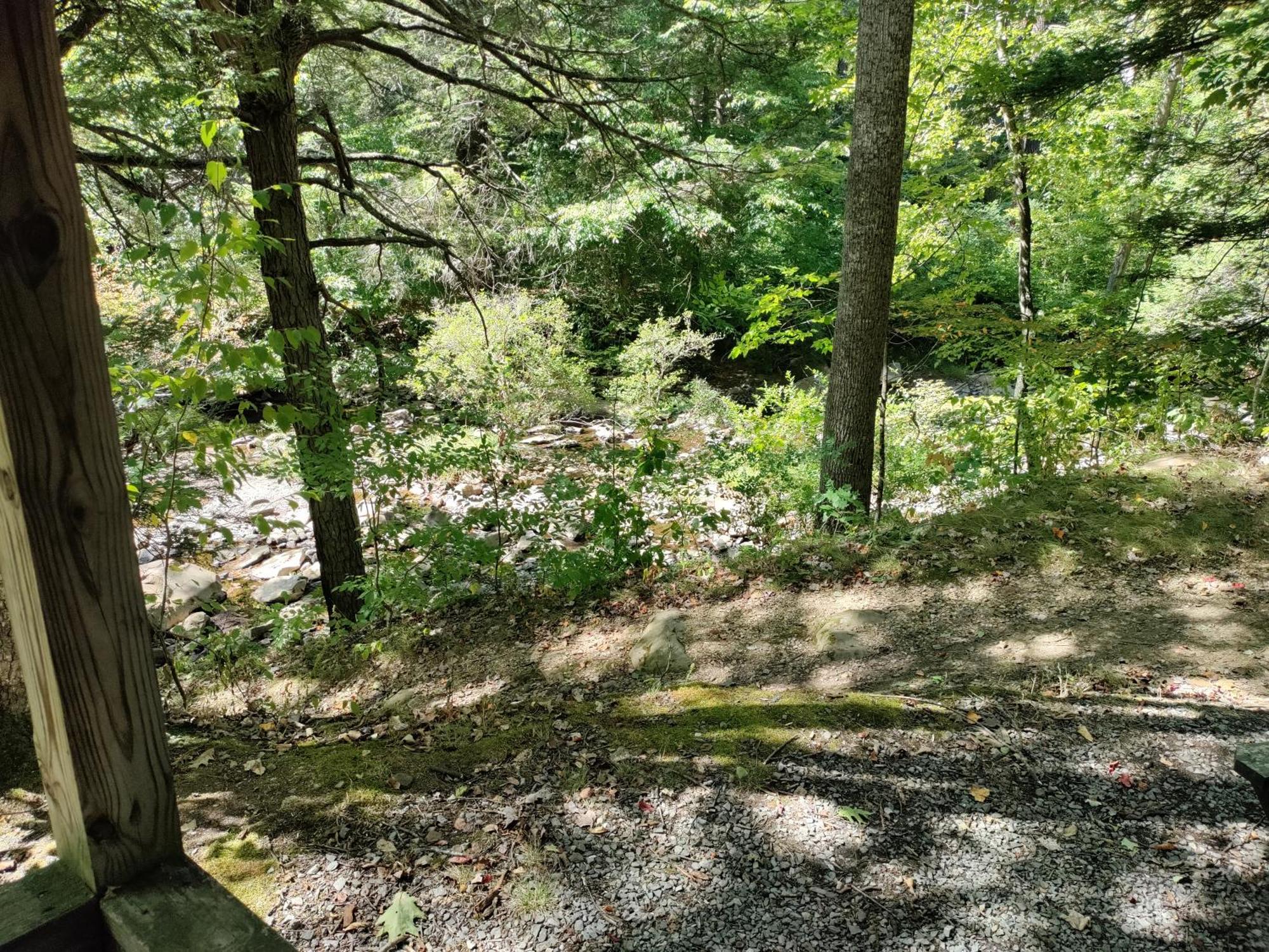 Abrams Creek Campground Mount Storm Eksteriør bilde