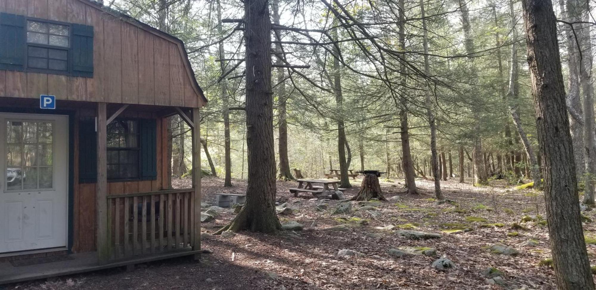 Abrams Creek Campground Mount Storm Eksteriør bilde