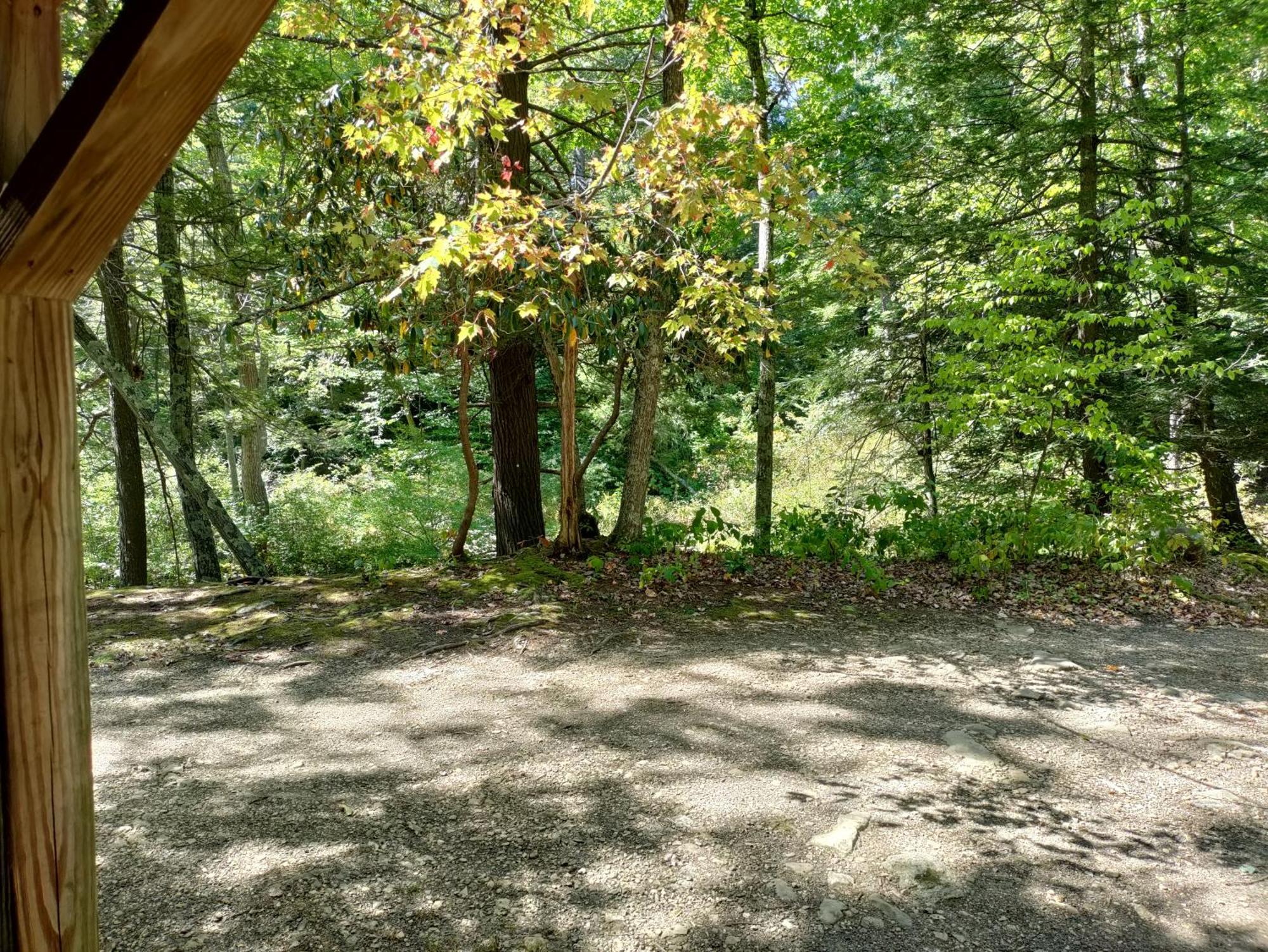 Abrams Creek Campground Mount Storm Eksteriør bilde