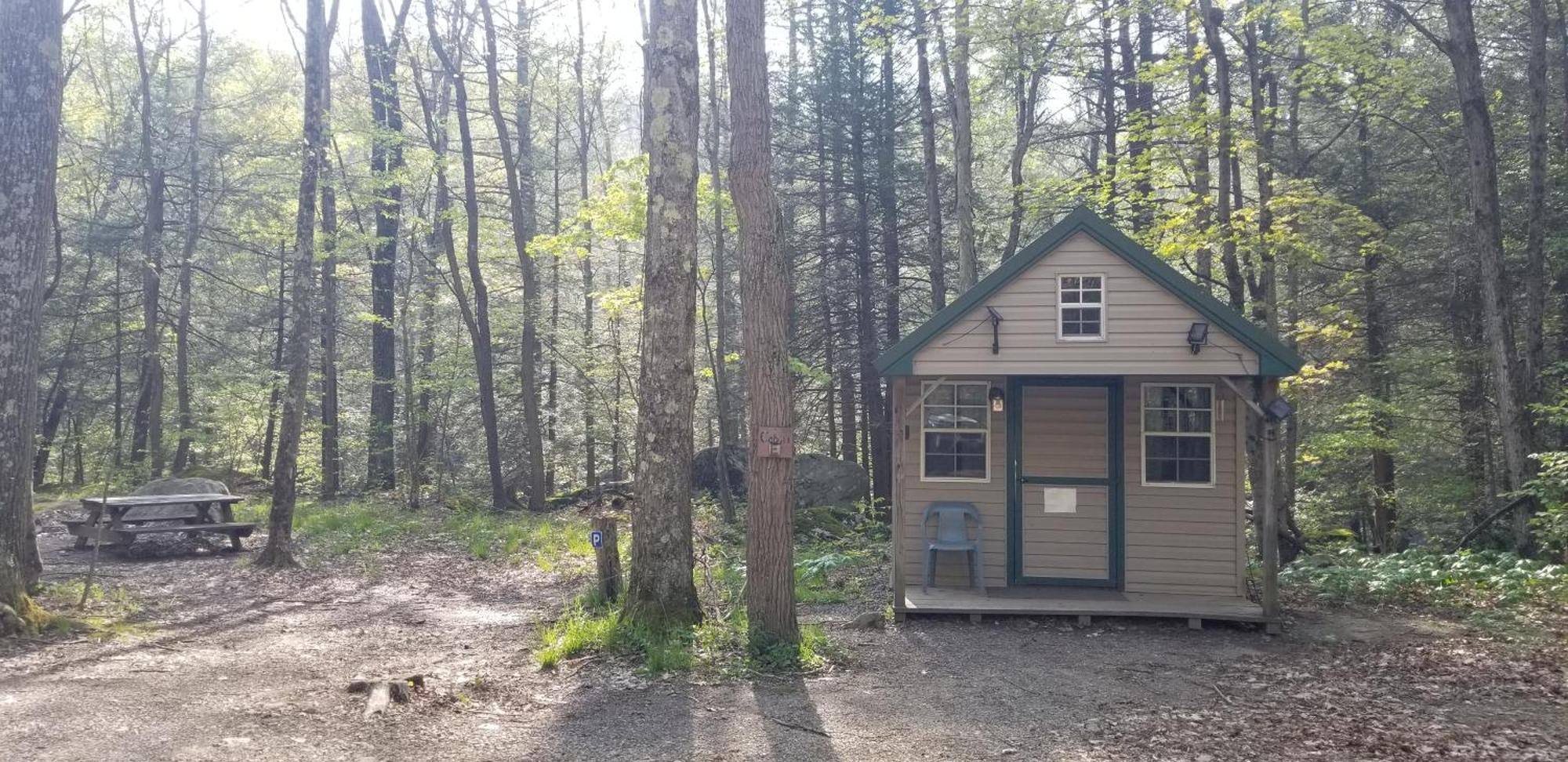 Abrams Creek Campground Mount Storm Eksteriør bilde