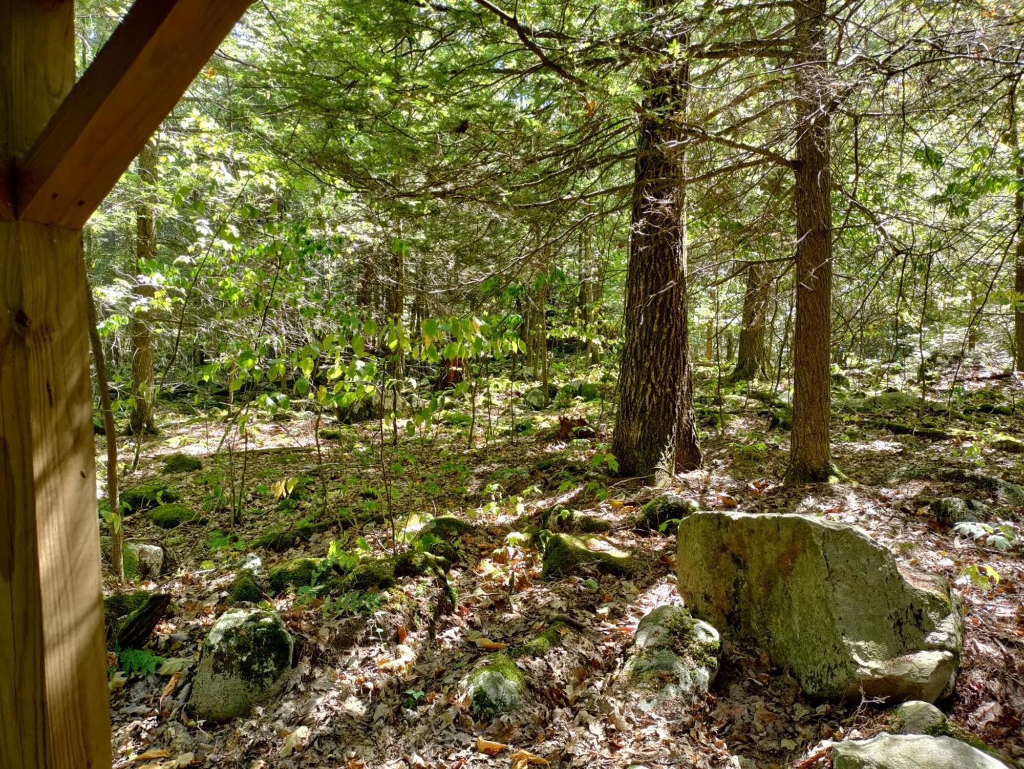 Abrams Creek Campground Mount Storm Eksteriør bilde