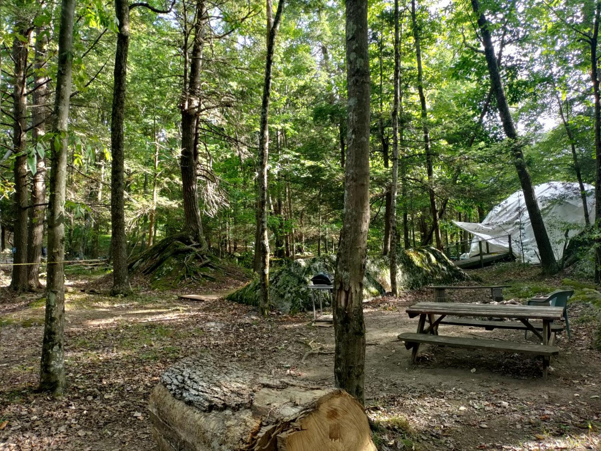 Abrams Creek Campground Mount Storm Eksteriør bilde