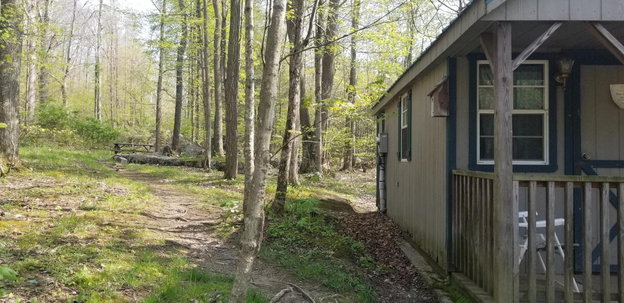 Abrams Creek Campground Mount Storm Eksteriør bilde