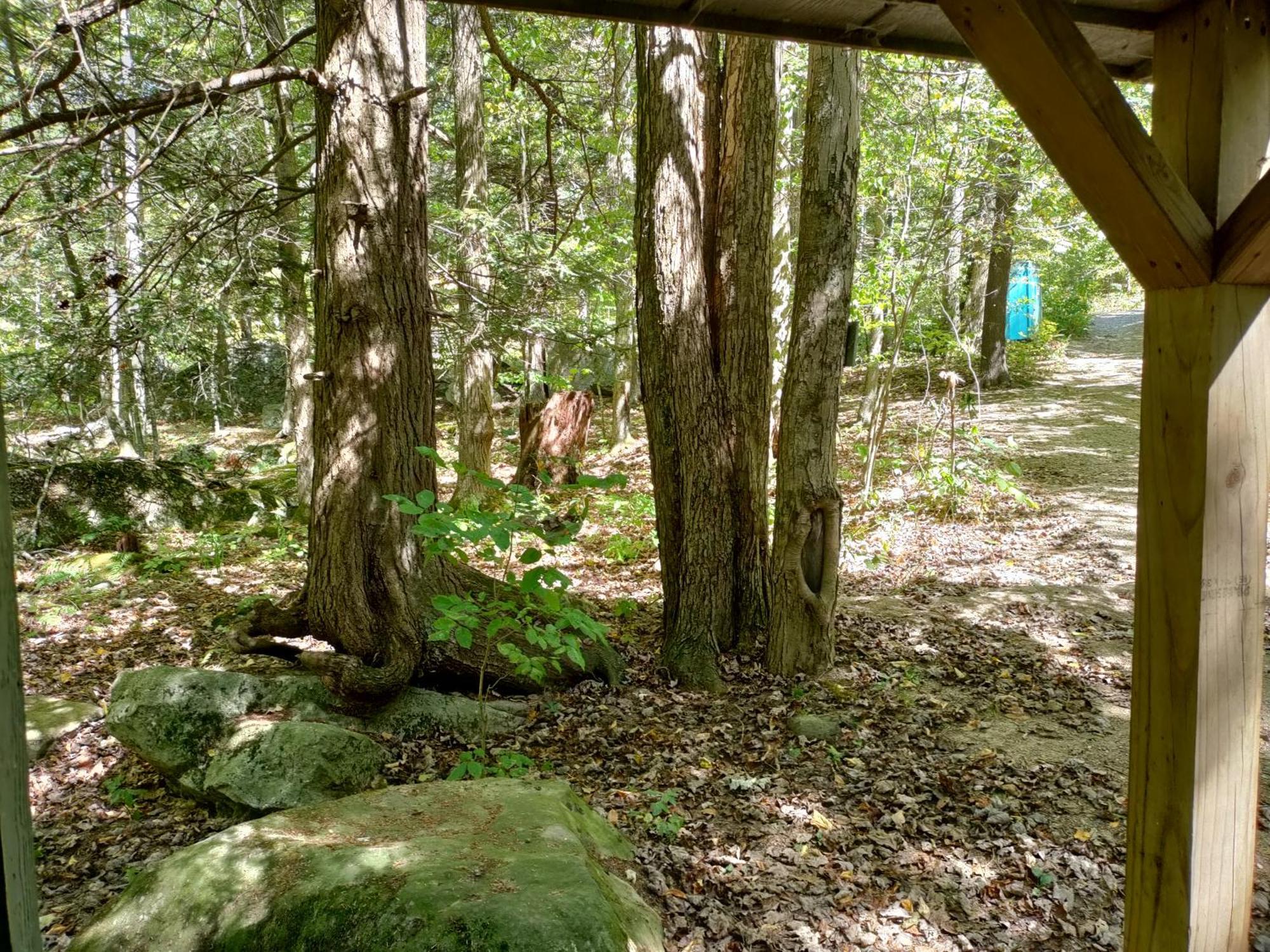 Abrams Creek Campground Mount Storm Eksteriør bilde