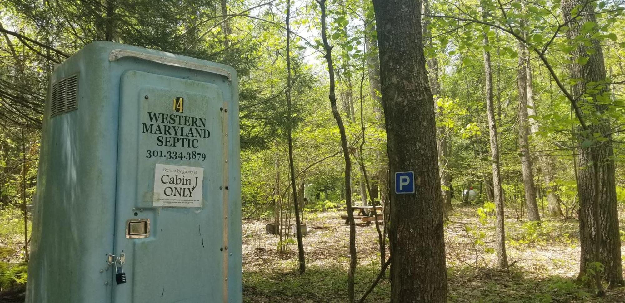 Abrams Creek Campground Mount Storm Eksteriør bilde